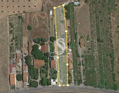 Terreno R�stico T0 - S�o Miguel do Rio Torto, Abrantes, Santar�m