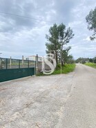 Armazm T0 - Meia Via, Torres Novas, Santarm - Miniatura: 7/8