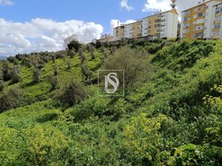 Terreno Rstico T0 - Abrantes, Abrantes, Santarm - Miniatura: 7/7