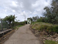 Quinta T3 - Comenda, Gavio, Portalegre - Miniatura: 2/33