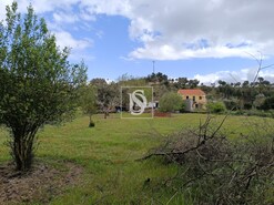 Quinta T3 - Comenda, Gavio, Portalegre - Miniatura: 32/33