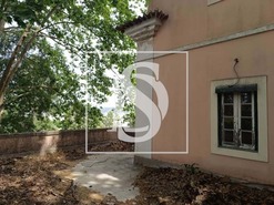 Quinta - Tramagal, Abrantes, Santarm - Miniatura: 45/60