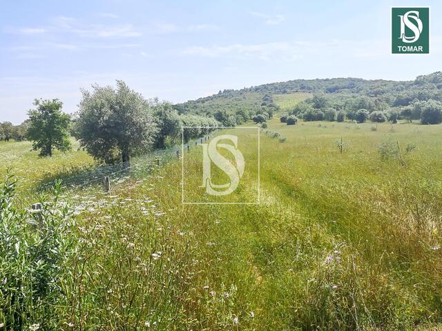 Terreno R�stico - Ch�os, Ferreira do Z�zere, Santar�m - Imagem grande