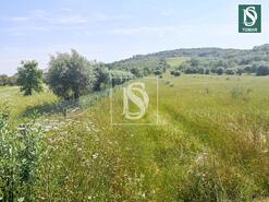 Terreno R�stico - Ch�os, Ferreira do Z�zere, Santar�m