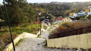 Terreno R�stico T0 - Tomar, Tomar, Santar�m - Miniatura: 6/17