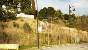 Terreno R�stico T0 - Tomar, Tomar, Santar�m - Miniatura: 11/17