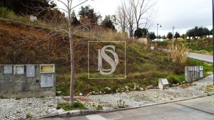 Terreno R�stico T0 - Tomar, Tomar, Santar�m - Miniatura: 14/17