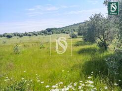 Terreno R�stico - Ch�os, Ferreira do Z�zere, Santar�m - Miniatura: 4/8