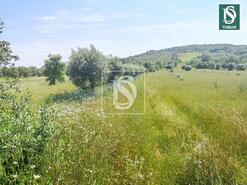 Terreno R�stico - Ch�os, Ferreira do Z�zere, Santar�m - Miniatura: 6/8