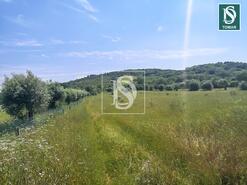 Terreno R�stico - Ch�os, Ferreira do Z�zere, Santar�m - Miniatura: 7/8