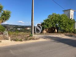 Moradia T3 - Tomar, Tomar, Santar�m - Miniatura: 6/9
