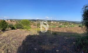 Moradia T3 - Tomar, Tomar, Santar�m - Miniatura: 8/9