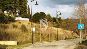 Terreno R�stico - Tomar, Tomar, Santar�m - Miniatura: 12/17