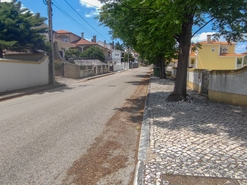 Terreno R�stico - Tomar, Tomar, Santar�m - Miniatura: 2/6
