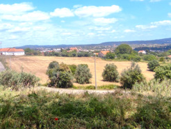 Terreno R�stico - Tomar, Tomar, Santar�m - Miniatura: 6/6