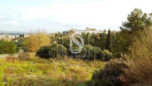 Terreno R�stico - Tomar, Tomar, Santar�m - Miniatura: 10/17