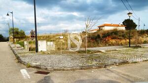 Terreno R�stico - Tomar, Tomar, Santar�m - Miniatura: 2/17