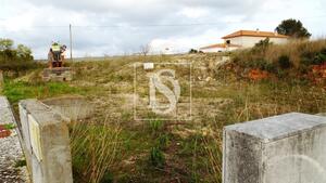 Terreno R�stico - Tomar, Tomar, Santar�m - Miniatura: 3/17