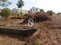 Terreno R�stico - Serra, Tomar, Santar�m - Miniatura: 2/14