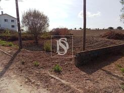 Terreno R�stico - Serra, Tomar, Santar�m - Miniatura: 5/14