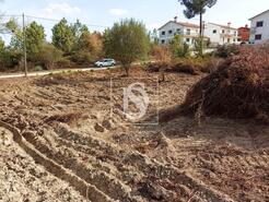 Terreno R�stico - Serra, Tomar, Santar�m - Miniatura: 8/14
