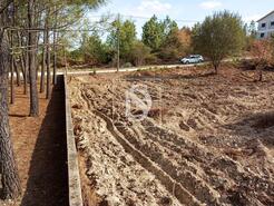 Terreno R�stico - Serra, Tomar, Santar�m - Miniatura: 9/14