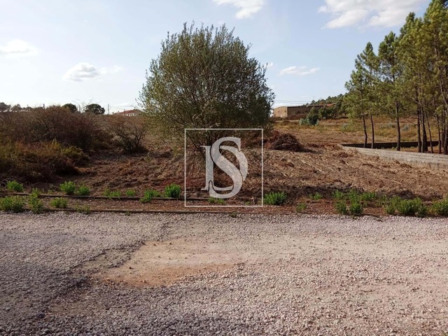 Terreno Rústico T0 - Serra, Tomar, Santarém - Imagem grande