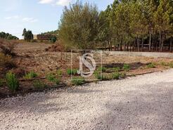 Terreno R�stico - Serra, Tomar, Santar�m - Miniatura: 1/14