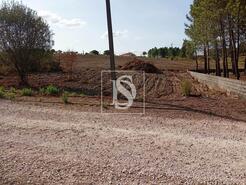 Terreno R�stico - Serra, Tomar, Santar�m - Miniatura: 3/14