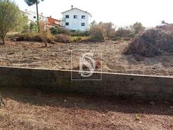 Terreno R�stico - Serra, Tomar, Santar�m - Miniatura: 6/14