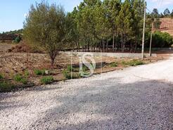 Terreno R�stico - Serra, Tomar, Santar�m - Miniatura: 7/14