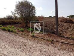 Terreno R�stico - Serra, Tomar, Santar�m - Miniatura: 10/14