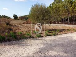 Terreno R�stico - Serra, Tomar, Santar�m - Miniatura: 11/14