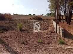Terreno R�stico - Serra, Tomar, Santar�m - Miniatura: 12/14