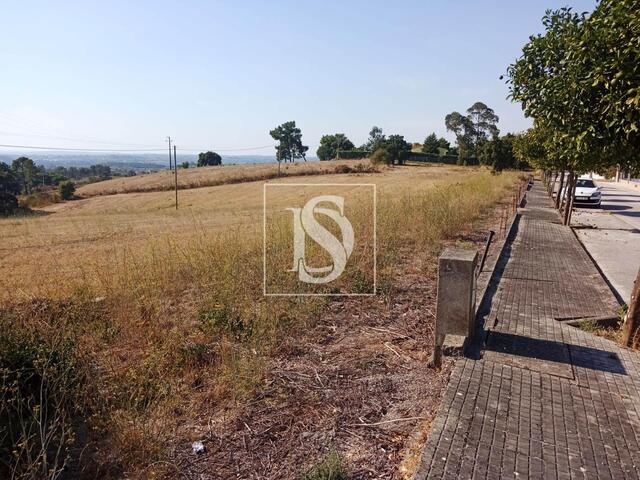 Terreno R�stico - S�o Pedro de Tomar, Tomar, Santar�m - Imagem grande