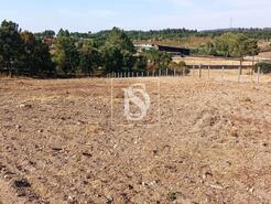 Terreno R�stico - S�o Pedro de Tomar, Tomar, Santar�m - Miniatura: 3/16