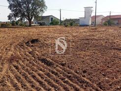 Terreno R�stico - S�o Pedro de Tomar, Tomar, Santar�m - Miniatura: 4/16
