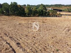 Terreno R�stico - S�o Pedro de Tomar, Tomar, Santar�m - Miniatura: 5/16