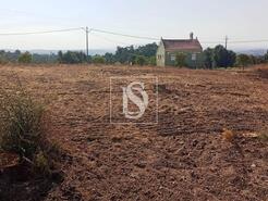 Terreno R�stico - S�o Pedro de Tomar, Tomar, Santar�m - Miniatura: 6/16