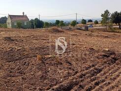 Terreno R�stico - S�o Pedro de Tomar, Tomar, Santar�m - Miniatura: 7/16