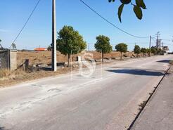 Terreno R�stico - S�o Pedro de Tomar, Tomar, Santar�m - Miniatura: 8/16