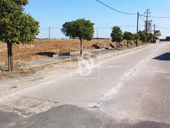 Terreno R�stico - S�o Pedro de Tomar, Tomar, Santar�m - Miniatura: 10/16