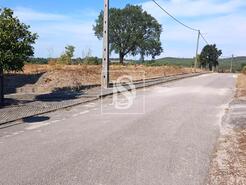 Terreno R�stico - S�o Pedro de Tomar, Tomar, Santar�m - Miniatura: 11/16