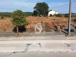 Terreno R�stico - S�o Pedro de Tomar, Tomar, Santar�m - Miniatura: 12/16
