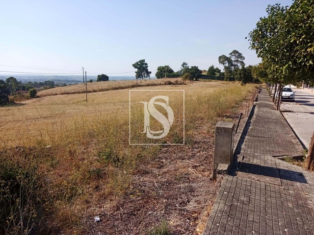 Terreno R�stico T0 - S�o Pedro de Tomar, Tomar, Santar�m - Imagem grande