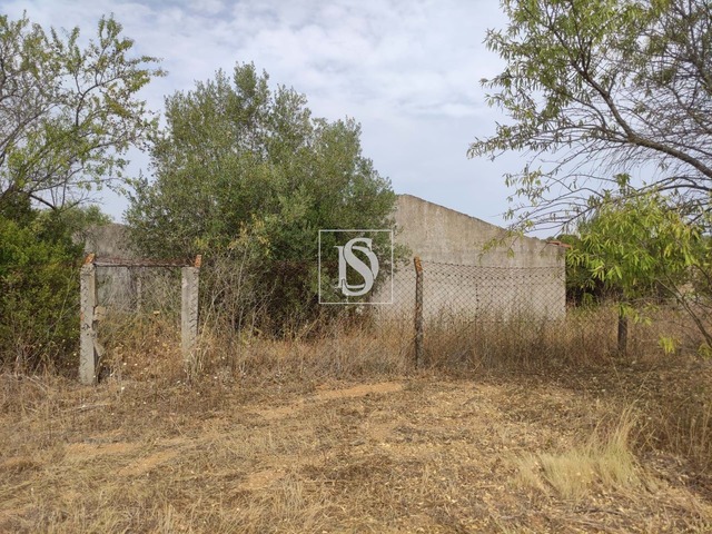 Moradia T2 - Paialvo, Tomar, Santarém - Imagem grande