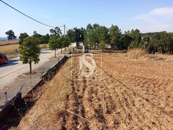 Terreno R�stico T0 - S�o Pedro de Tomar, Tomar, Santar�m - Miniatura: 1/16