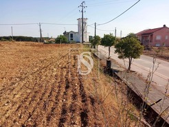 Terreno R�stico T0 - S�o Pedro de Tomar, Tomar, Santar�m - Miniatura: 2/16