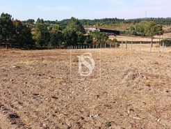 Terreno R�stico T0 - S�o Pedro de Tomar, Tomar, Santar�m - Miniatura: 3/16