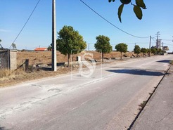 Terreno R�stico T0 - S�o Pedro de Tomar, Tomar, Santar�m - Miniatura: 8/16